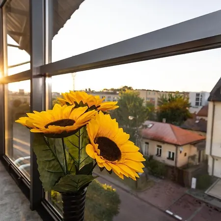 Lägenhetshotell Elitmat